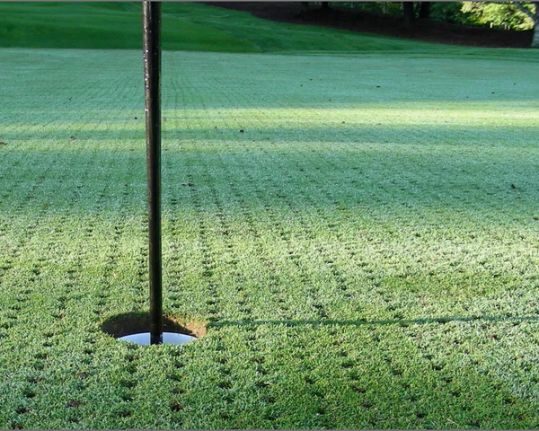 Aeration During Lockdown - The Pro's & Cons